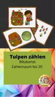 Vorschau - Fördermaterial/Inklusion - Tulpen zählen im Zahlenraum bis 20 - Deckblatt