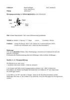 Vorschau - Unterrichtsreihen - Exzentrisches Krafttraining in der Sekundarstufe 1 - mit Arbeitskarten - Seite 3