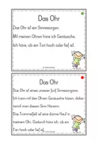 Vorschau - Aufgabenkarten - Sinne Abschreibtexte - Seite 2