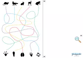 Vorschau - Spiele - Küchenpapierrolle/ Papp-, Basteln, Fußspuren, Wald Tiere, Spur nachfahren - Seite 2
