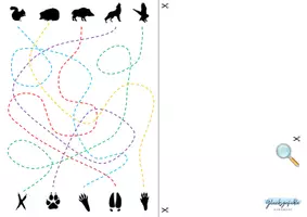 Vorschau - Spiele - Küchenpapierrolle/ Papp-, Basteln, Fußspuren, Wald Tiere, Spur nachfahren - Seite 3