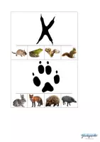 Vorschau - Stationenlernen - Silhouette Wald Tiere mit Klammer - Seite 2