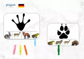 Vorschau - Stationenlernen - Silhouette Wald Tiere mit Klammer - Deckblatt
