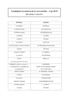 Vorschau - Arbeitsblätter - Wortschatzarbeit zu "dictadura y violencia" (Diktatur in Argentinien) - Seite 3