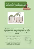 Vorschau - Stationenlernen - Regenwurm differenzierte Stationsarbeit - Deckblatt