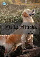Vista previa - Tarjetas / Manipulativos - Actividad perros vertical - Portada