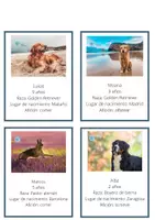Vista previa - Tarjetas / Manipulativos - Actividad perros vertical - página 2