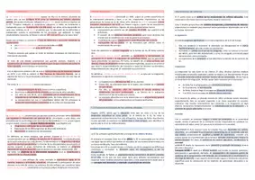 Vista previa - Evaluación - Oposiciones Pedagogía Terapéutica: esquema tema 1 - página 2