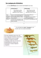 Vorschau - Arbeitsblätter - Arbeitsblatt Evolution Landgang Säugetiere - Seite 1