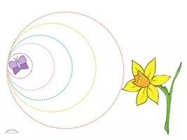 Vorschau - Arbeitsblätter - Nachspuren, Schwungübungen, Schneideübung „Schmetterling & Frühblüher!“ - für Rechts- & Linkshänder (Krokus, Traubenhyazinthe, Narzisse, Tulpe) (inkl. Erklärvideos) - Frühling - Seite 2
