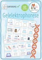 Vorschau - Spiele - Gelelektrophorese - Sortieraktivität - Deckblatt