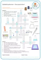 Vorschau - Arbeitsblätter - Gelelektrophorese – Kreuzworträtsel (Abitur) - Seite 2