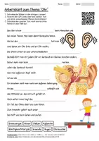 Vorschau - Arbeitsblätter - Arbeitsblatt "Ohr" + Onlineübung & MP3 + Mindmap + Infografik - Deckblatt