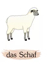 Vorschau - Bildkarten - Tiere Bildkarten zum Üben der Tiernamen - Seite 1