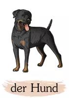 Vorschau - Bildkarten - Tiere Bildkarten zum Üben der Tiernamen - Seite 3