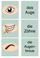 Vorschau - Arbeitsblätter - Körper 2 in 1 Paket - Seite 3