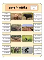 Aperçu - Cartes d'exercices - Klammerkarten Tiere in Afrika - Page 2