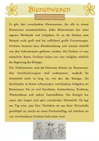 Vorschau - Arbeitsblätter - Materialpaket zum Thema Bienenstaat - Seite 2