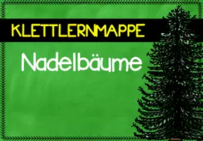 Vorschau - Spiele - Klettlernmappe Nadelbäume - Seite 1