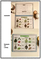 Vorschau - Spiele - Klettlernmappe Laubbäume - Seite 2