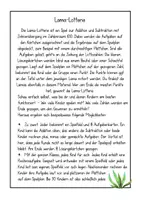 Vorschau - Stationenlernen - Lama-Lotterie: Addition und Subtraktion im Zahlenraum 100 - Seite 1