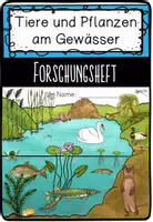 Vorschau - Unterrichtsreihen - Tiere und Pflanzen am Gewässer (Teich) - Forschungsheft - Seite 2
