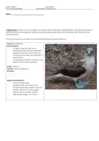 Vorschau - Klassenarbeiten - Klassenarbeit Tierbeschreibung - Seite 1