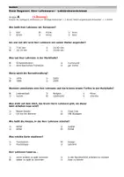 Vorschau - Test - Sven Regener - Herr Lehmann - Lektüretest Lesetest mit Lösung - Seite 3