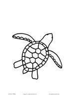 Vorschau - Arbeitsblätter - Turtle - Süße Schildkröte! Malvorlage für den Sommer! - Seite 3