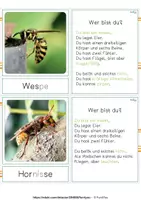 Vorschau - Arbeitsblätter - Insekten?! - Lesespiel mit Selbstkontrolle - Seite 3