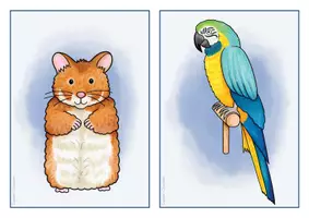 Vista previa - Refuerzo / NEE / Materiales de apoyo - Inglés y Aléman - tarjetas con imagénes - mascotas - Flashcards English: pets - Deutsch: Haustiere - página 3