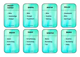 Vorschau - Spiele - Spiel "Sag nicht..." zum Thema Pflanzen - Seite 3