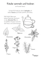 Vorschau - Stundenentwürfe - Tee- und Gewürzkräuter sammeln und trocknen - Deckblatt