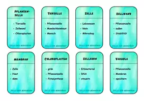 Vorschau - Spiele - Spiel "Sag nicht..." zum Thema Zelle und Mikroskop - Seite 2