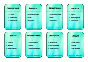 Vorschau - Spiele - Spiel "Sag nicht..." zum Thema Zelle und Mikroskop - Seite 3
