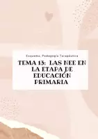 Vista previa - Unidades / Secuencias / Situaciones de Aprendizaje - Oposiciones Pedagogía Terapéutica: Pack esquemas (temas del 1 al 13) - página 1