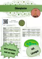 Vorschau - Arbeitsblätter - Chloroplasten (videogestützt) - Deckblatt