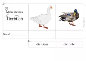 Vorschau - Mal- und Bastelvorlagen - Mein kleines Tierbuch - Deckblatt