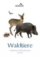Vorschau - Fördermaterial/Inklusion - DaZ Wald - Deckblatt