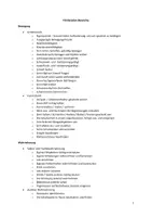 Vorschau - Fördermaterial/Inklusion - Förderplanbereiche - Unterteilung und viele Beispiele - Seite 1