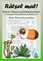 Vorschau - Arbeitsblätter - Rätsel mal! Mein Meerschweinchen (Klassen 3 bis 5) - Deckblatt