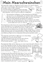 Vorschau - Arbeitsblätter - Rätsel mal! Mein Meerschweinchen (Klassen 3 bis 5) - Seite 1