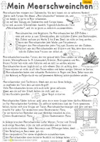 Vorschau - Arbeitsblätter - Rätsel mal! Mein Meerschweinchen (Klassen 3 bis 5) - Seite 2