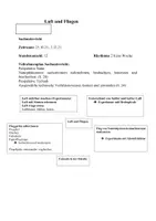 Vorschau - Stundenentwürfe - Luft und Fliegen Klasse 2 Arbeitsplan - Seite 1
