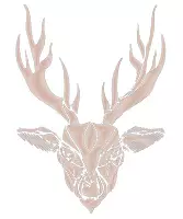 Vorschau - Mal- und Bastelvorlagen - Abstrakter Hirsch (Bildkarte, Poster Malen & Zeichnen, Malvorlagen, Tiere Kunst) - Deckblatt