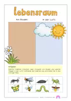 Vorschau - Arbeitsblätter - Materialpaket rund um Insekten (verschiedene Übungen) - Seite 3