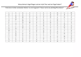 Vorschau - Arbeitsblätter - Gitterrätsel - Warum können Vögel fliegen? - Deckblatt