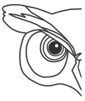 Vorschau - Mal- und Bastelvorlagen - Eulen Vogel (Bildkarte, Poster Malen & Zeichnen, Malvorlagen, Tiere Kunst) - Deckblatt
