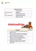 Aperçu - Feuilles d'exercices - Allemand : Description de l'animal : chien avec fiche signalétique / Tierbeschreibung: Hund inkl. Steckbrief - Page 2