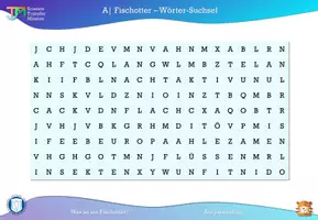 Vorschau - Stundenentwürfe - Grundwissen Fischotter inkl. Steckbrief + Suchsel - Seite 3